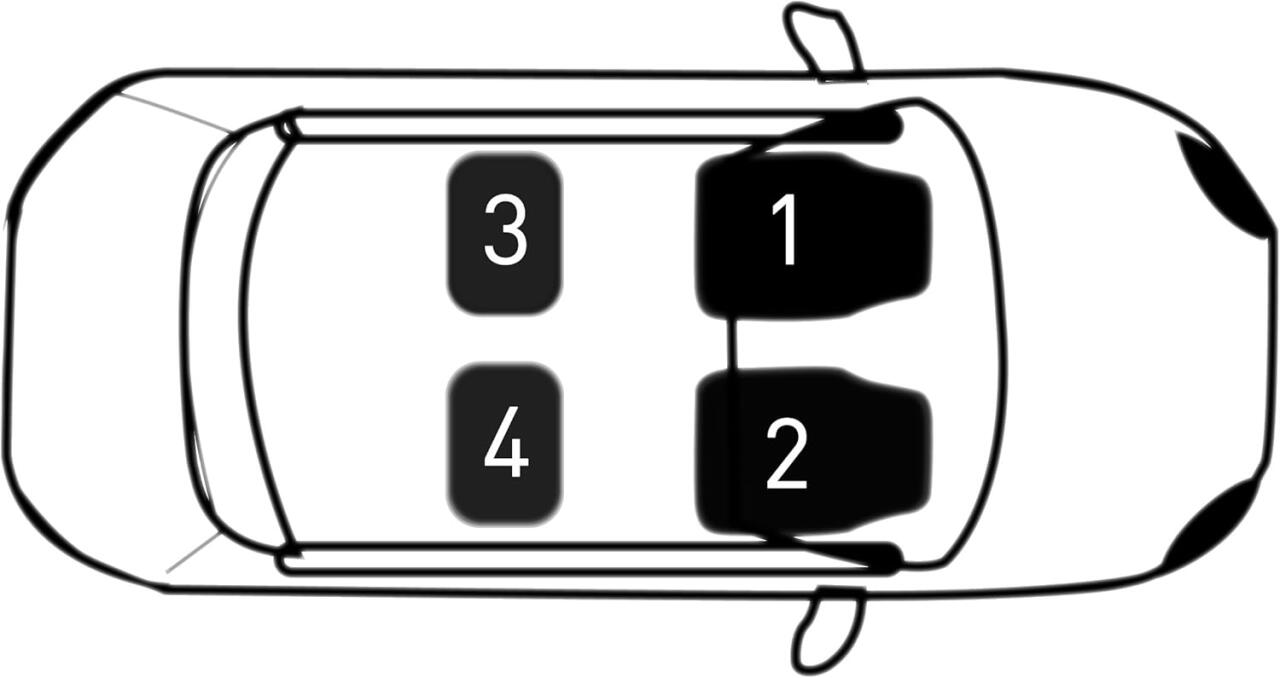 Alfombras/Tapetes Universales